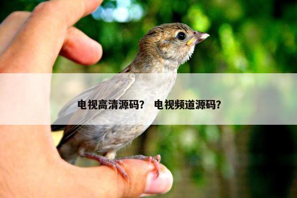 电视高清源码？ 电视频道源码？