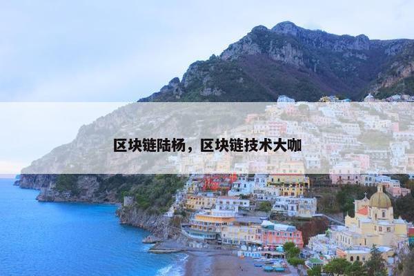 区块链陆杨，区块链技术大咖