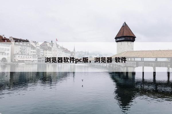 浏览器软件pc版，浏览器 软件