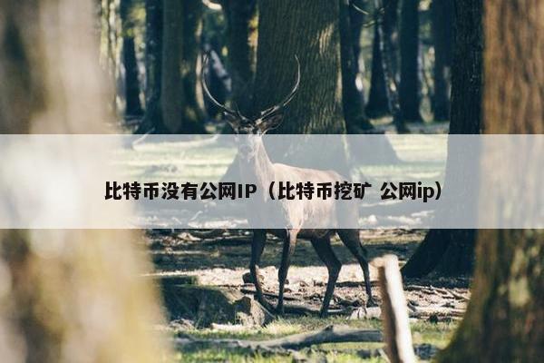 比特币没有公网IP（比特币挖矿 公网ip）