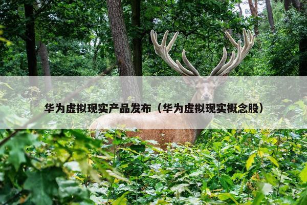 华为虚拟现实产品发布（华为虚拟现实概念股）
