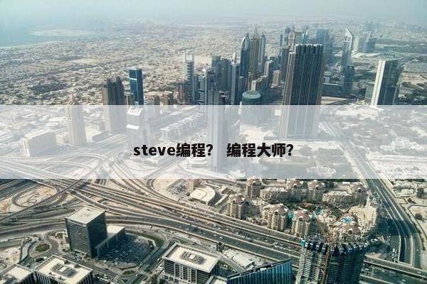 steve编程？ 编程大师？