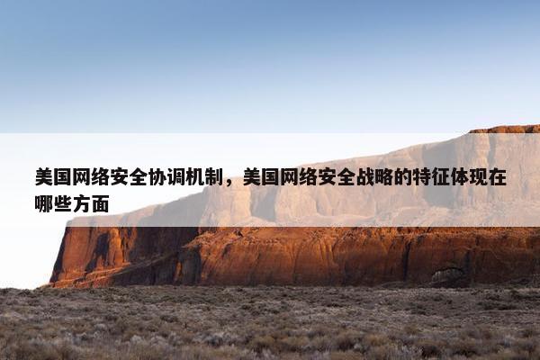 美国网络安全协调机制，美国网络安全战略的特征体现在哪些方面