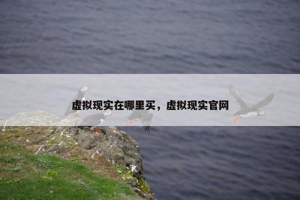 虚拟现实在哪里买，虚拟现实官网