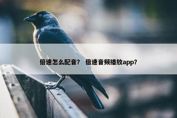 倍速怎么配音？ 倍速音频播放app？
