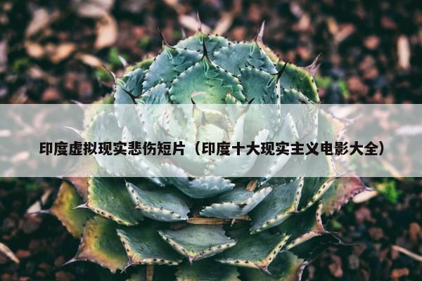 印度虚拟现实悲伤短片（印度十大现实主义电影大全）