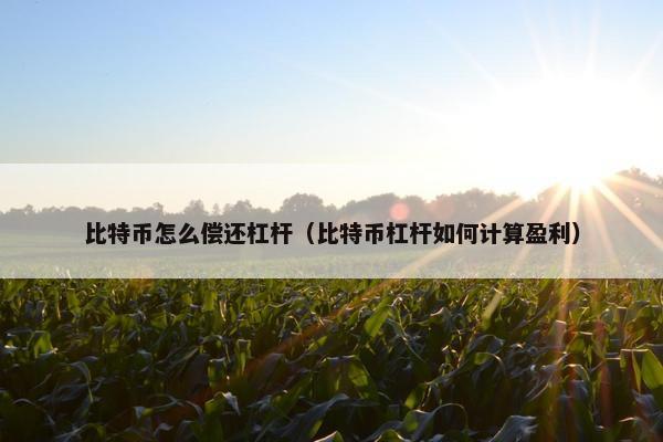 比特币怎么偿还杠杆（比特币杠杆如何计算盈利）
