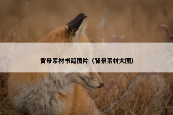 背景素材书籍图片（背景素材大图）