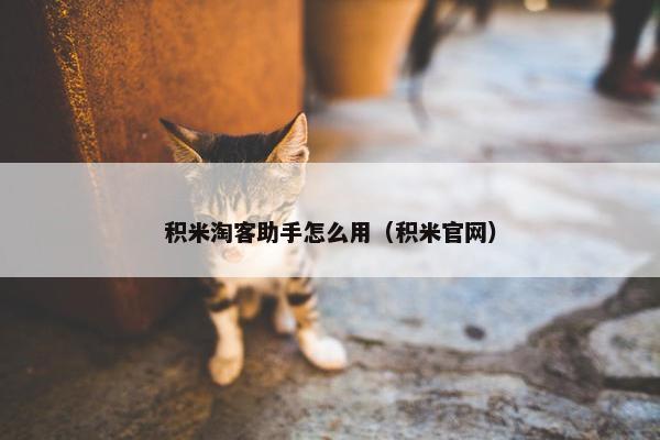 积米淘客助手怎么用（积米官网）