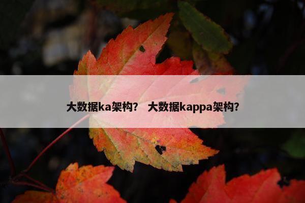 大数据ka架构？ 大数据kappa架构？