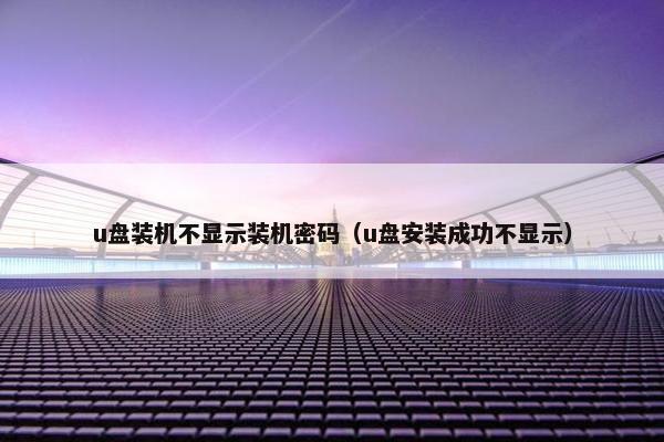 u盘装机不显示装机密码（u盘安装成功不显示）
