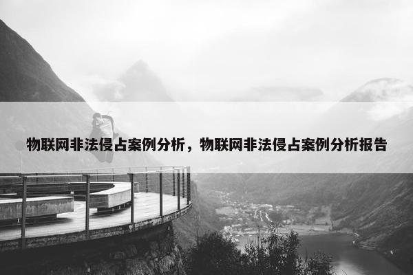 物联网非法侵占案例分析，物联网非法侵占案例分析报告