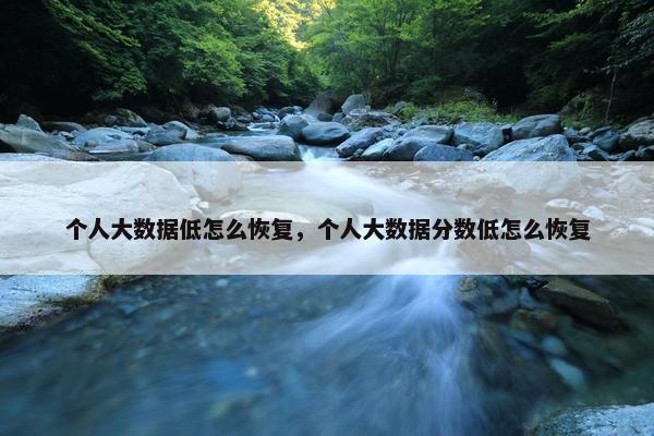 个人大数据低怎么恢复，个人大数据分数低怎么恢复