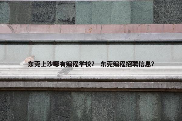 东莞上沙哪有编程学校？ 东莞编程招聘信息？