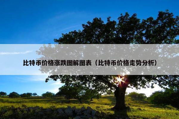 比特币价格涨跌图解图表（比特币价格走势分析）
