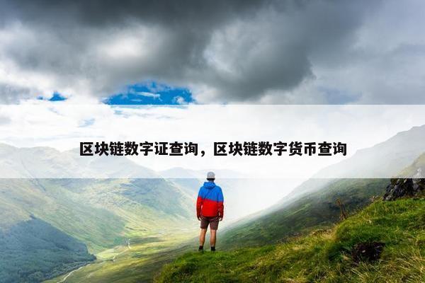 区块链数字证查询，区块链数字货币查询