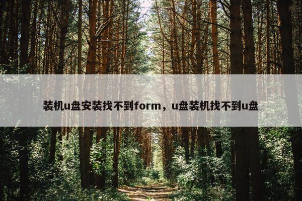 装机u盘安装找不到form，u盘装机找不到u盘