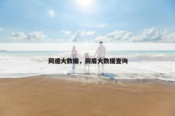 同遁大数据，同盾大数据查询