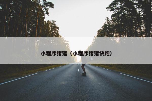 小程序猪猪（小程序猪猪快跑）
