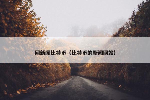 网新闻比特币（比特币的新闻网站）