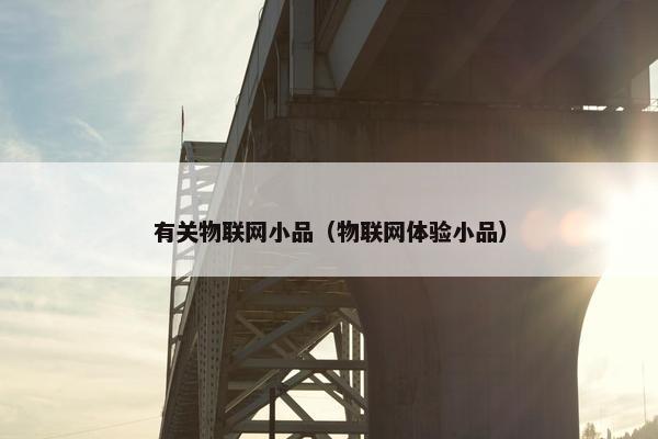 有关物联网小品（物联网体验小品）