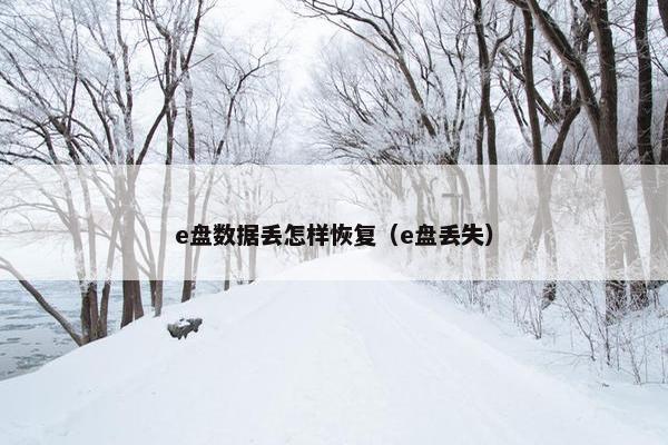 e盘数据丢怎样恢复（e盘丢失）