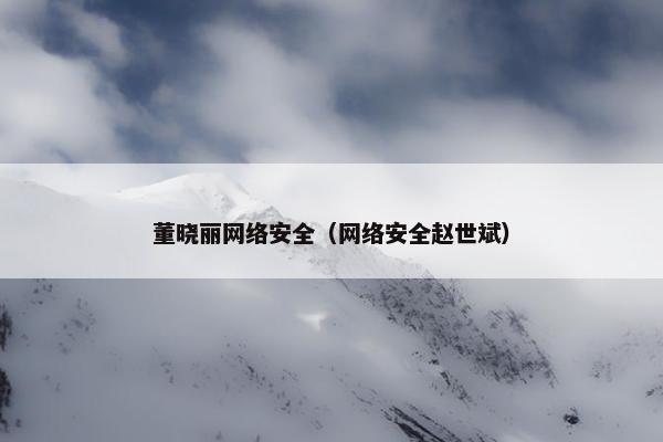 董晓丽网络安全（网络安全赵世斌）