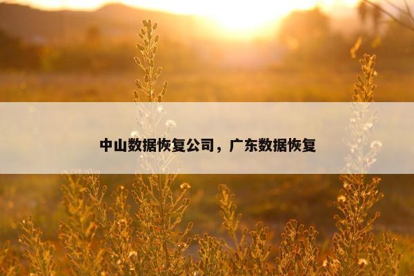 中山数据恢复公司，广东数据恢复