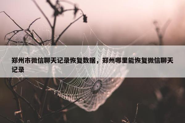 郑州市微信聊天记录恢复数据，郑州哪里能恢复微信聊天记录