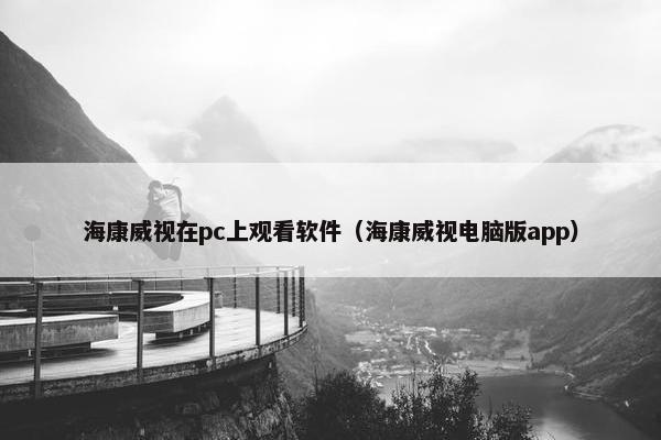 海康威视在pc上观看软件（海康威视电脑版app）