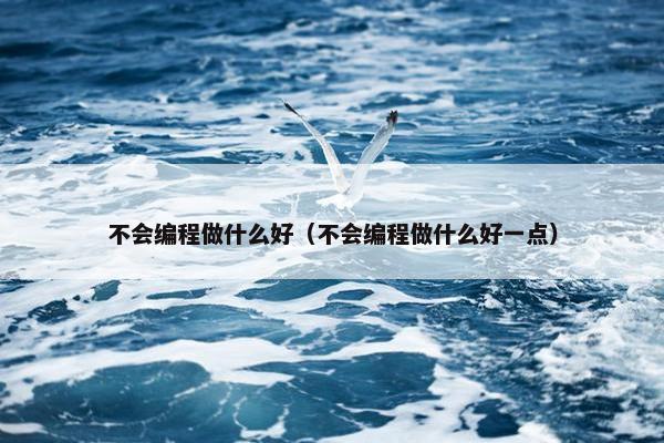 不会编程做什么好（不会编程做什么好一点）