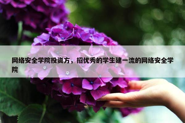 网络安全学院投资方，招优秀的学生建一流的网络安全学院