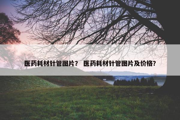 医药耗材针管图片？ 医药耗材针管图片及价格？