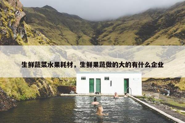 生鲜蔬菜水果耗材，生鲜果蔬做的大的有什么企业