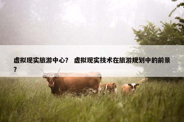虚拟现实旅游中心？ 虚拟现实技术在旅游规划中的前景？