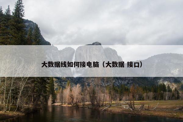 大数据线如何接电脑（大数据 接口）