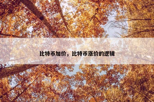 比特币加价，比特币涨价的逻辑