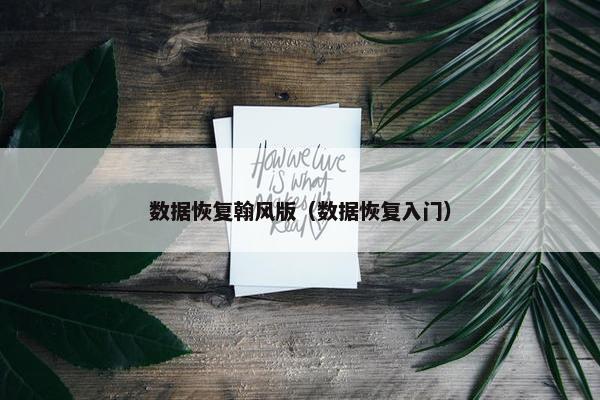 数据恢复翰风版（数据恢复入门）