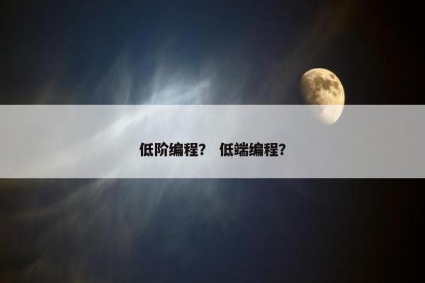 低阶编程？ 低端编程？