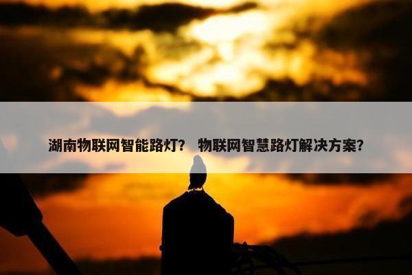 湖南物联网智能路灯？ 物联网智慧路灯解决方案？