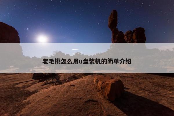 老毛桃怎么用u盘装机的简单介绍
