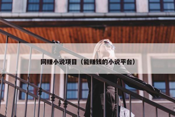 网赚小说项目（能赚钱的小说平台）