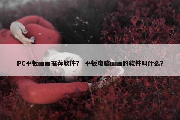 PC平板画画推荐软件？ 平板电脑画画的软件叫什么？