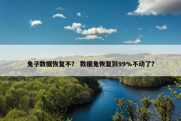 兔子数据恢复不？ 数据兔恢复到99%不动了？