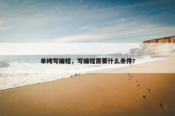 单纯写编程，写编程需要什么条件?