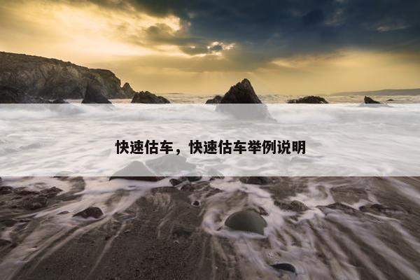 快速估车，快速估车举例说明