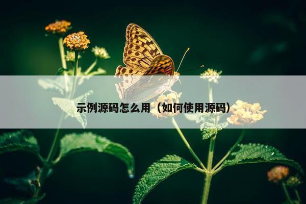 示例源码怎么用（如何使用源码）