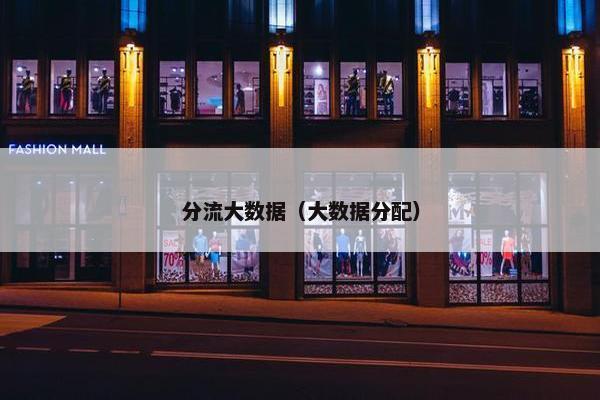 分流大数据（大数据分配）