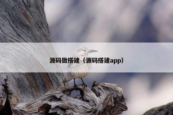 源码做搭建（源码搭建app）