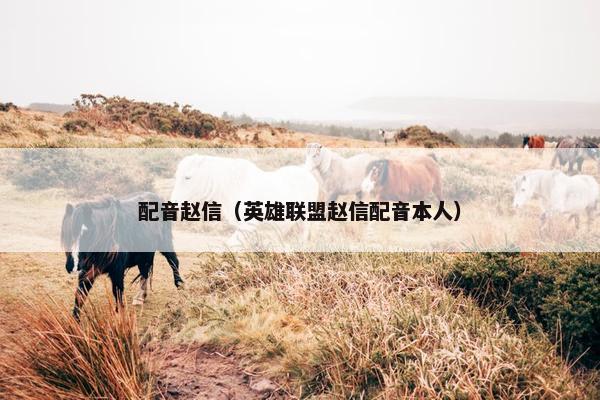 配音赵信（英雄联盟赵信配音本人）
